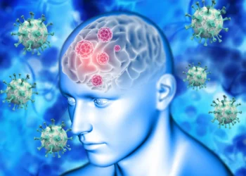 Imagem ilustrativa sobre o vírus Nipah, com destaque para células cerebrais e partículas virais.