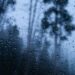 Inmet alerta para fim de semana com chuvas intensas no Norte e Nordeste 12 Close-up de gotas de chuva escorrendo por uma vidraça transparente. Ao fundo, árvores e uma paisagem natural estão desfocadas sob um céu nublado e acinzentado, transmitindo a sensação de um dia chuvoso e úmido.