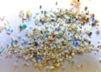 Amostra de microplásticos com partículas coloridas e translúcidas espalhadas sobre superfície clara, usada em estudos científicos.