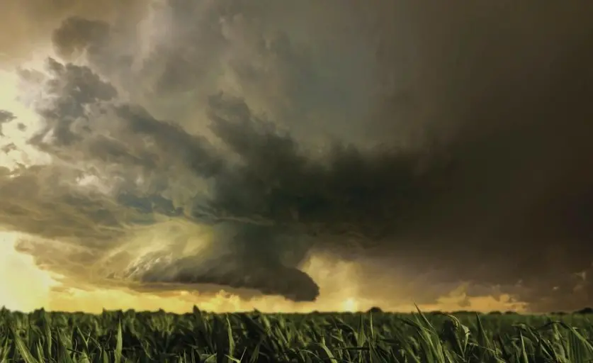 Alerta: um vórtice ciclônico traz temporais e risco de inundações em alguns estados; confira 2 Nuvens escuras e densas se formando sobre área de vegetação durante alerta de temporais