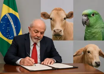 Homem assinando documento com bandeira do Brasil e imagens de animais ao fundo