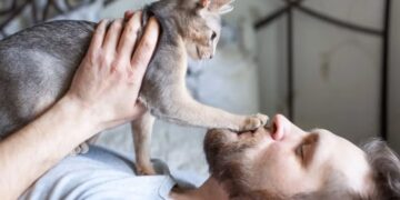 Homem barbudo deitado segura gato cinza de orelhas grandes, que apoia pata delicadamente sobre seu nariz, em quarto com cabeceira de ferro